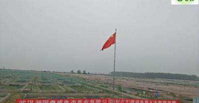 孔雀人工养殖技术
