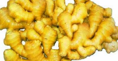 砂糖橘周年种植管理