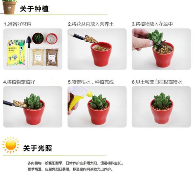 关于种植的小技巧