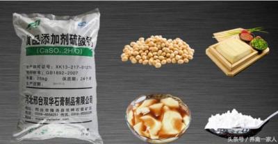 巴西龙骨的养殖方法和注意事项