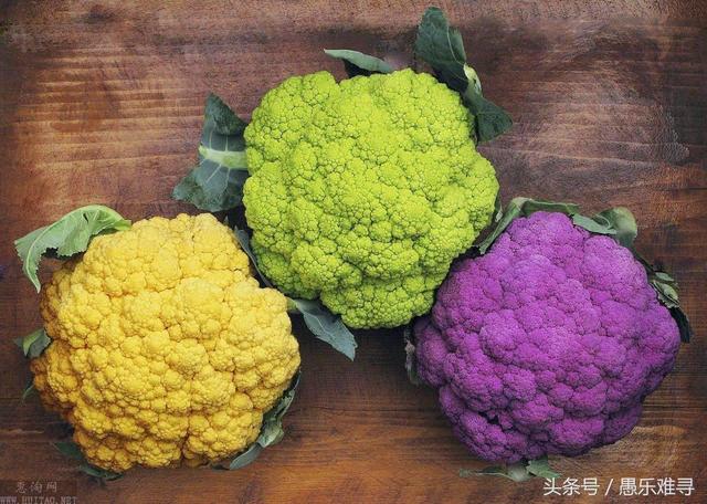 每天一蔬菜,花椰菜的营养价值及注意事项
