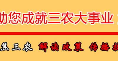 农村懒汉种植荷兰豆,让媳妇哈哈大笑
