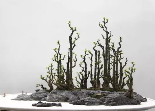 山水盆景：千姿百态浑然成世间佳境凝于盆