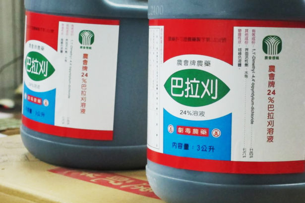 剧毒农药巴拉刈禁用不变,农委会:代喷制度推不动,农友:不喷农作销路更好