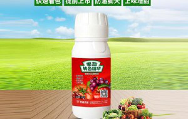 君子兰施用什么肥料好