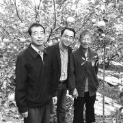 有苹果种植技术万元月薪算啥,回家种苹果去(图