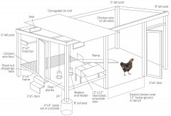 低成本大棚鸡舍设计 农村家用鸡舍鸡舍的建造