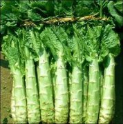 抗癌食物:莴苣抗癌吗?莴苣的做法有哪一些?