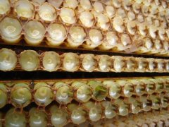 蜂王浆:中国蜂王浆产量高吗?如何提高蜂王浆的产量?