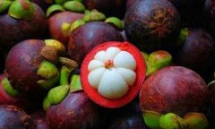 山竹种子的种植方法： 山竹种子怎么种植？怎么种盆栽种植方法
