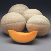 雅典娜哈密瓜的特点有哪些?雅典娜哈密瓜苗抗病性成熟时间