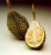 泰国榴莲品种介绍，泰国ChaNee青尼榴莲特点特征味道怎么样