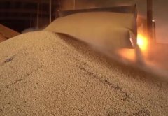 中美贸易战下农民响应大豆振兴 每亩补贴340元