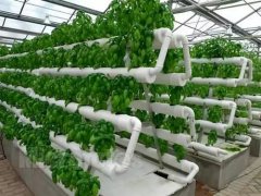 智慧农业发展趋势最新消息：谁来种地？智慧农业的应用前景告诉你