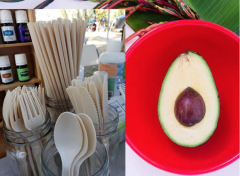 牛油果核能干嘛？牛油果核变胶餐具半年可自行分解够环保