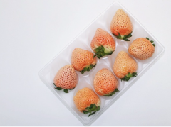 日本草莓品种介绍，淡雪/甘王/红脸颊/栃木少女品种草莓特点