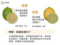 莱姆与柠檬的差别在哪里怎么区分？莱姆青柠檬有什么特点