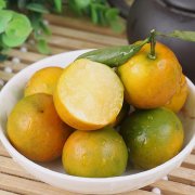 橘子新品种名称珍珠橘，珍珠橘的果实能吃吗价格多少钱一斤