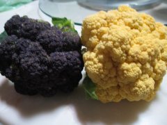 紫色的花椰菜与黄色花椰菜有什么特点？紫/黄花菜有哪些营养价值