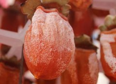 WDD家庭柿饼的制作方法大全 怎么才可以出糖霜